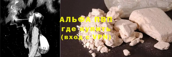 прущий лед Бородино